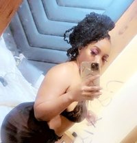 Divana - puta in New Delhi