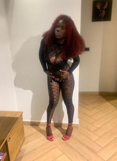 Lisa - puta in Cairo Photo 3 of 4