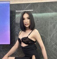 Lisa TH Big Dick - Transsexual escort in Khobar