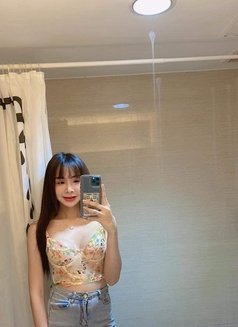 Nummon thai dream girl ( can do ass ) - escort in Pattaya Photo 5 of 14