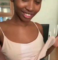 Lissy - Transsexual escort in Nairobi