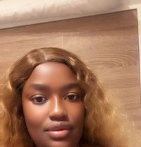Tasha - escort in Cairo