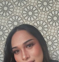 Lita New Ladyboy - Acompañantes transexual in Doha