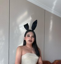 Lita New Ladyboy - Transsexual escort in Riyadh