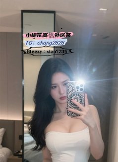 Little Cotton Agency Hotties - escort in Taipei Photo 1 of 17