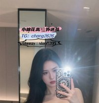 Little Cotton Agency Hotties - escort in Taipei Photo 1 of 17