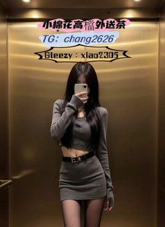 Little Cotton Agency Hotties - escort in Taipei Photo 10 of 17