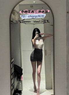 Little Cotton Agency Hotties - escort in Taipei Photo 12 of 17