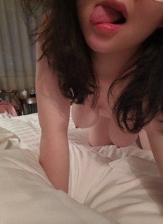 Little Cotton Delivery Hotel - escort in Taipei Photo 1 of 8