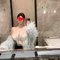 Little Cottons Gleezy: Xiao2305 - escort in Taichung Photo 2 of 14