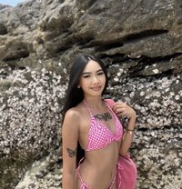 Little Eve - escort in Pattaya Photo 8 of 8