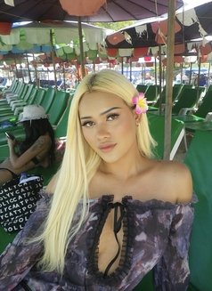 Little Pony - Transsexual escort in Phuket Photo 11 of 12