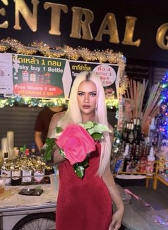 Little Pony - Transsexual escort in Phuket Photo 12 of 12