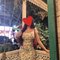Sanjana (Real meet & cam show)sex chat - escort in Hyderabad Photo 2 of 5