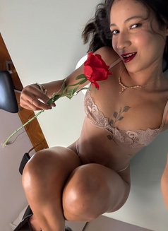 Livia Cat - escort in İstanbul Photo 10 of 23