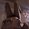 Liya.Mallu goddess is back XL - Acompañantes transexual in Dubai
