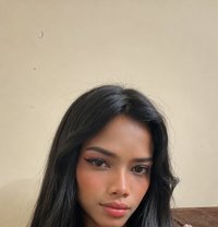 Mehak - Transsexual companion in New Delhi