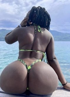 Liz - puta in Colombo Photo 1 of 1