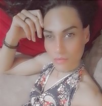 Lo Lo - Transsexual escort in Beirut