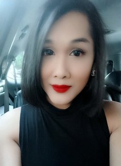 Local Asian Ts Sophia - Transsexual escort in Singapore Photo 1 of 4