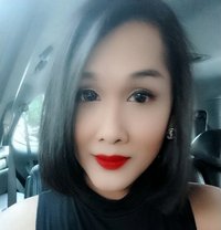 Local Asian Ts Sophia - Transsexual escort in Singapore