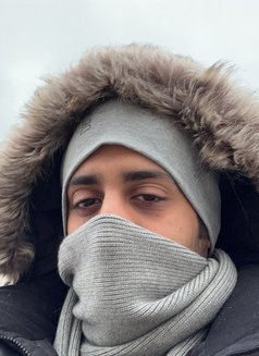 Local horse - Male escort in Dubai Photo 2 of 4