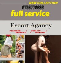 🇱Local escort & Foreign escort 25k.up. - puta in Colombo Photo 12 of 12