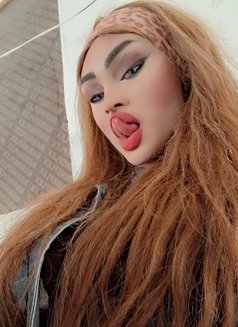 Lodi Lodi - Acompañantes transexual in Beirut Photo 8 of 15