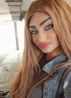 Lodi Lodi - Acompañantes transexual in Beirut Photo 10 of 15