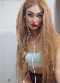 Lodi Lodi - Acompañantes transexual in Beirut Photo 13 of 15