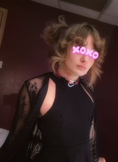 Loki - masseuse in Toronto Photo 13 of 19