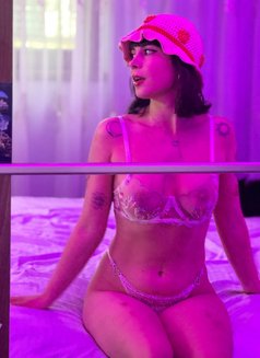 Lola - escort in Doha Photo 2 of 7