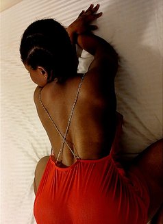 Lola/happy - escort in Cairo Photo 2 of 3