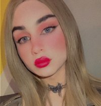 Loli - Transsexual escort in Beirut