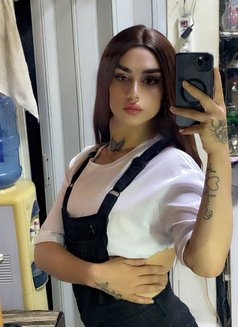 Loli - Transsexual escort in Beirut Photo 3 of 9