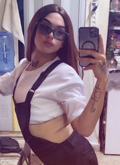 Loli - Transsexual escort in Beirut Photo 8 of 9