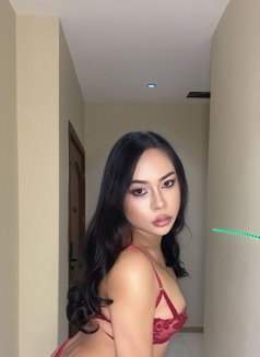 Lolita ladyboy_khobar top both - Transsexual escort in Khobar Photo 1 of 8