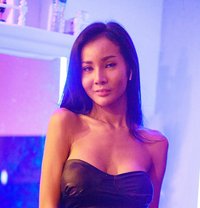 Lolita - Transsexual escort in Bangkok