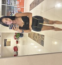 Lolita - Transsexual escort in Bangkok