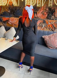 Lolly - escort in Beirut Photo 3 of 4