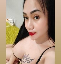 Lolly Shemale - Acompañantes transexual in Bali
