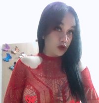 Lolly Shemale - Transsexual escort in Bali
