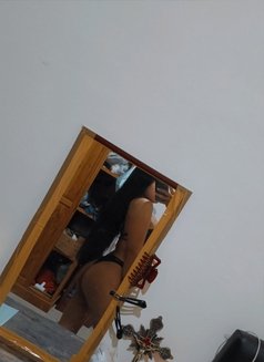 Lollypopgirl - Acompañantes transexual in Bali Photo 4 of 13