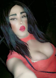 Lolo Caty - Transsexual escort in Beirut Photo 2 of 4
