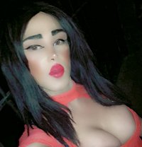 Lolo Caty - Acompañantes transexual in Beirut