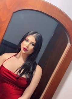 Lolo - Transsexual escort in Beirut Photo 1 of 7