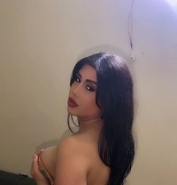 Lolo - Transsexual escort in Beirut