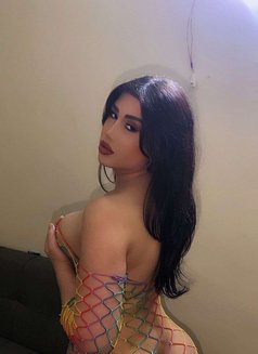 Lolo - Acompañantes transexual in Beirut Photo 7 of 7