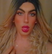 Lolo - Transsexual escort in Beirut