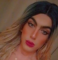 Lolo - Transsexual escort in Beirut